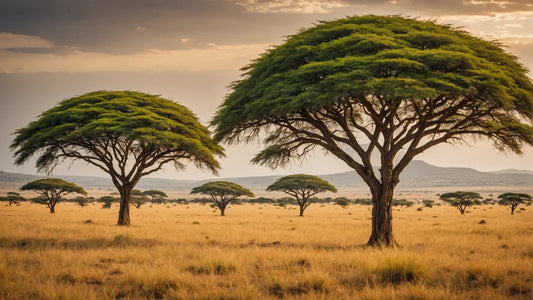 Uncovering the Enigmatic Secrets of Serengeti's Exotic Plant Life