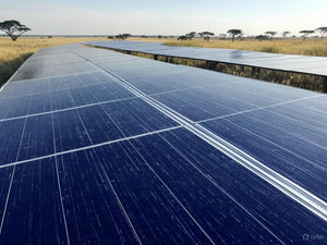 6. Our grade 5 health and safety rated facility is run 100% by solar power (Carbon Neutral)