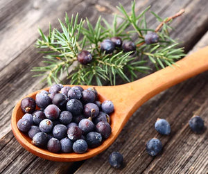 1. Ingredientes premium: sabores 100 % naturales, sin alérgenos ni gluten.