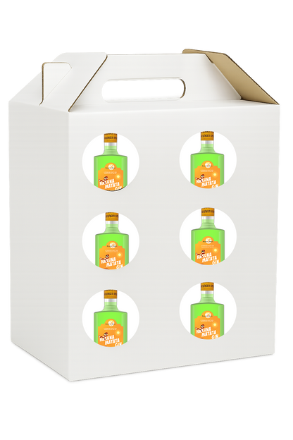 Hakuna Matata Gin Case Kiwi & Lemon 50cl 38%